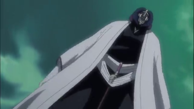 Pursue Byakuya! The Confused Gotei Divisions